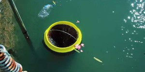 他們把這神奇的海洋垃圾桶放在海裡，垃圾竟會自動集合，這次海洋有救了