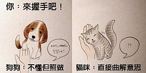 貓狗大不同！網友用插圖說明「養貓與養狗的差別」